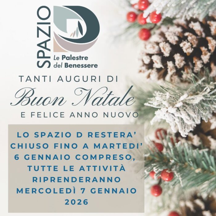 Buone Feste 1 Bianco Fotografico Auguri di Buon Natale Instagram post